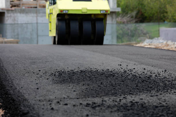 Best Professional Driveway Pavers  in Winter Springs, FL